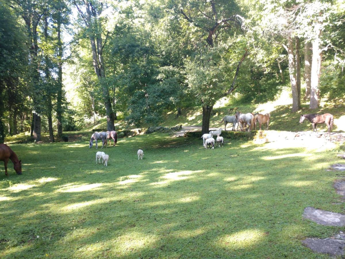 Arrowmont Stables & Cabins Cullowhee Buitenkant foto