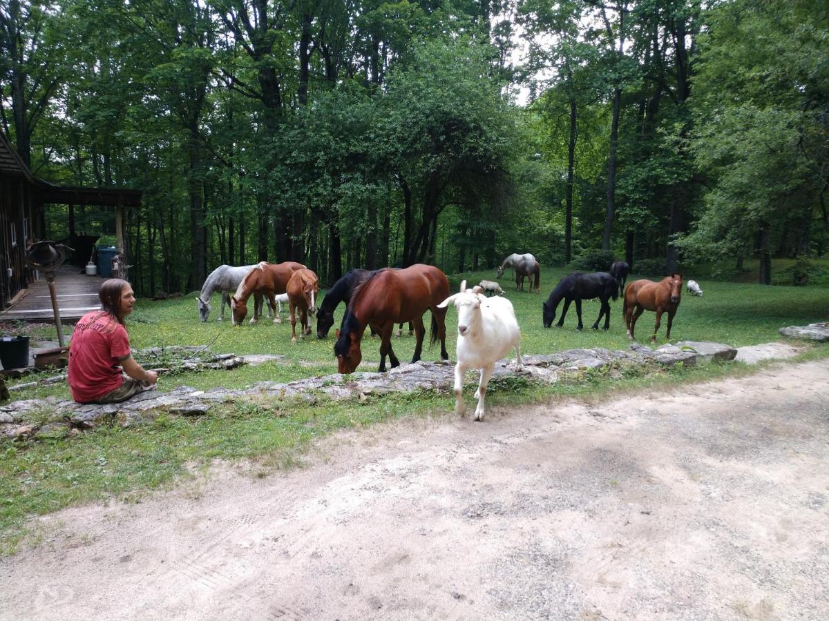 Arrowmont Stables & Cabins Cullowhee Buitenkant foto