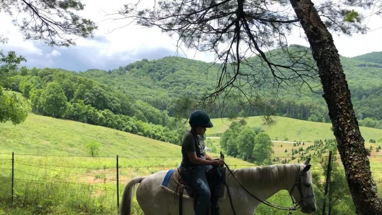 Arrowmont Stables & Cabins Cullowhee Buitenkant foto