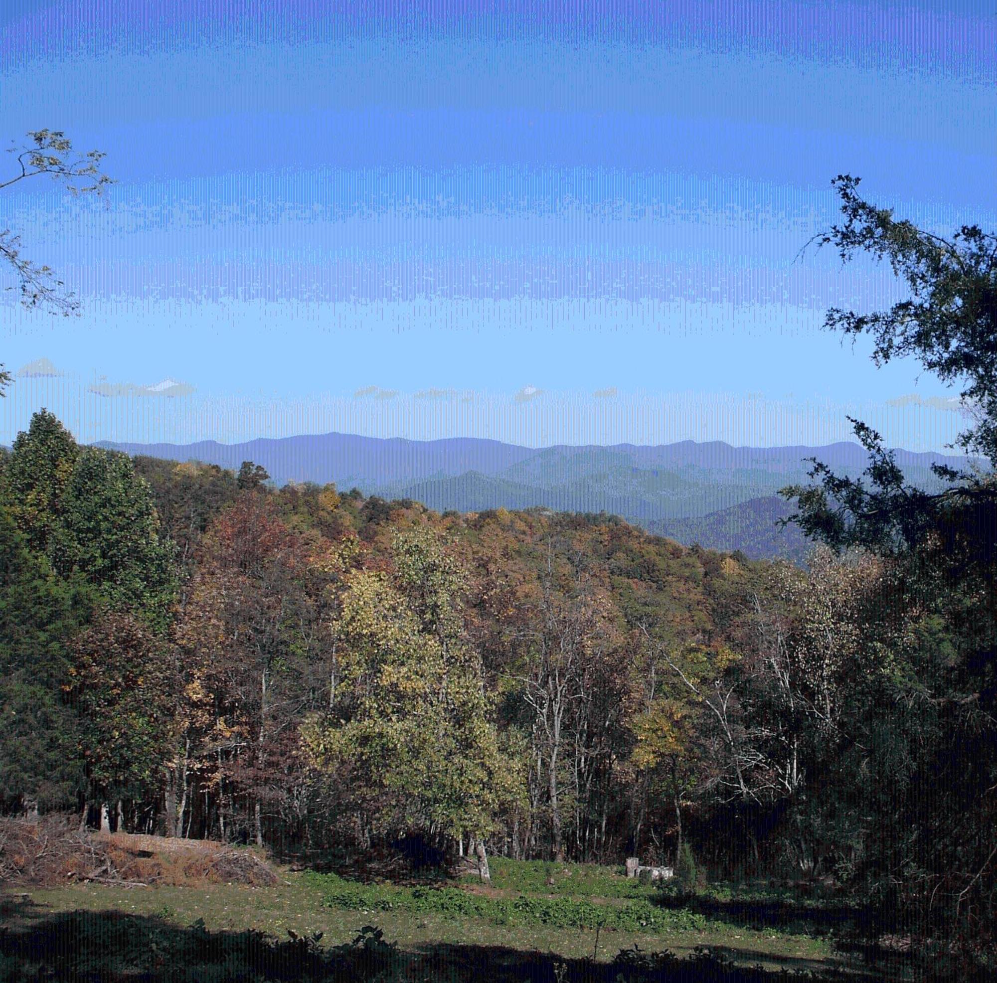 Arrowmont Stables & Cabins Cullowhee Buitenkant foto