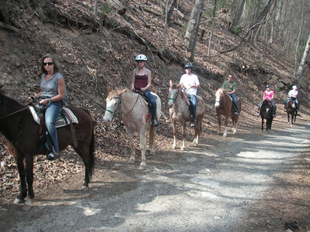 Arrowmont Stables & Cabins Cullowhee Buitenkant foto
