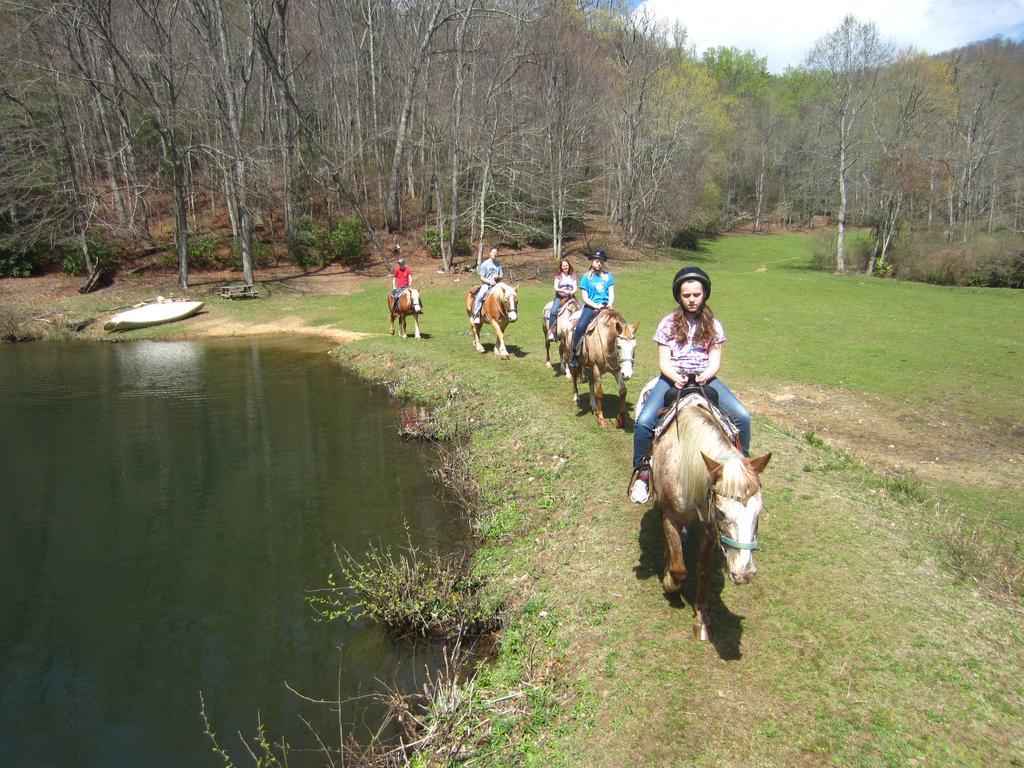 Arrowmont Stables & Cabins Cullowhee Buitenkant foto