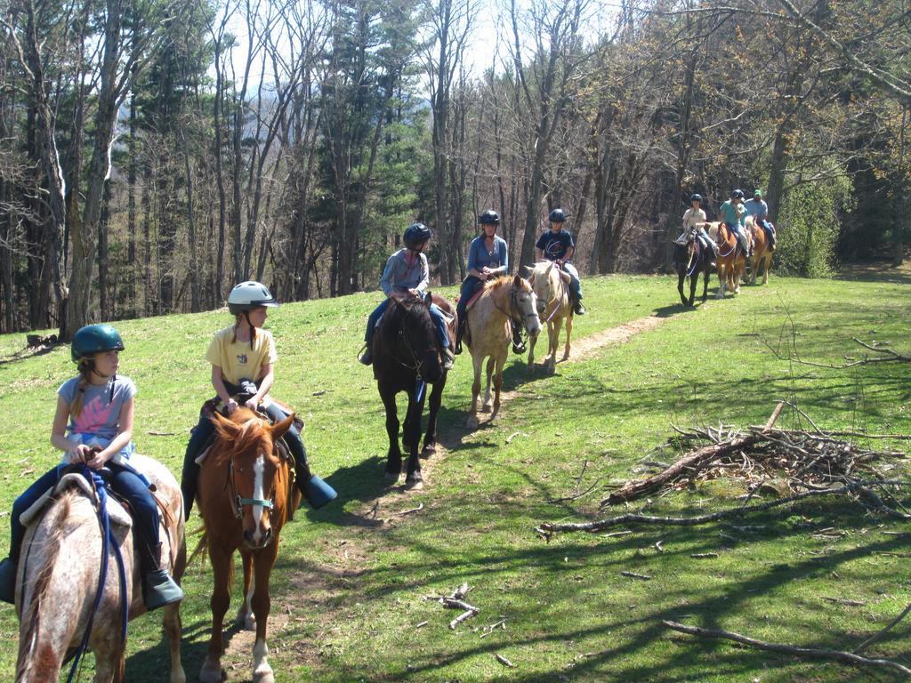 Arrowmont Stables & Cabins Cullowhee Buitenkant foto