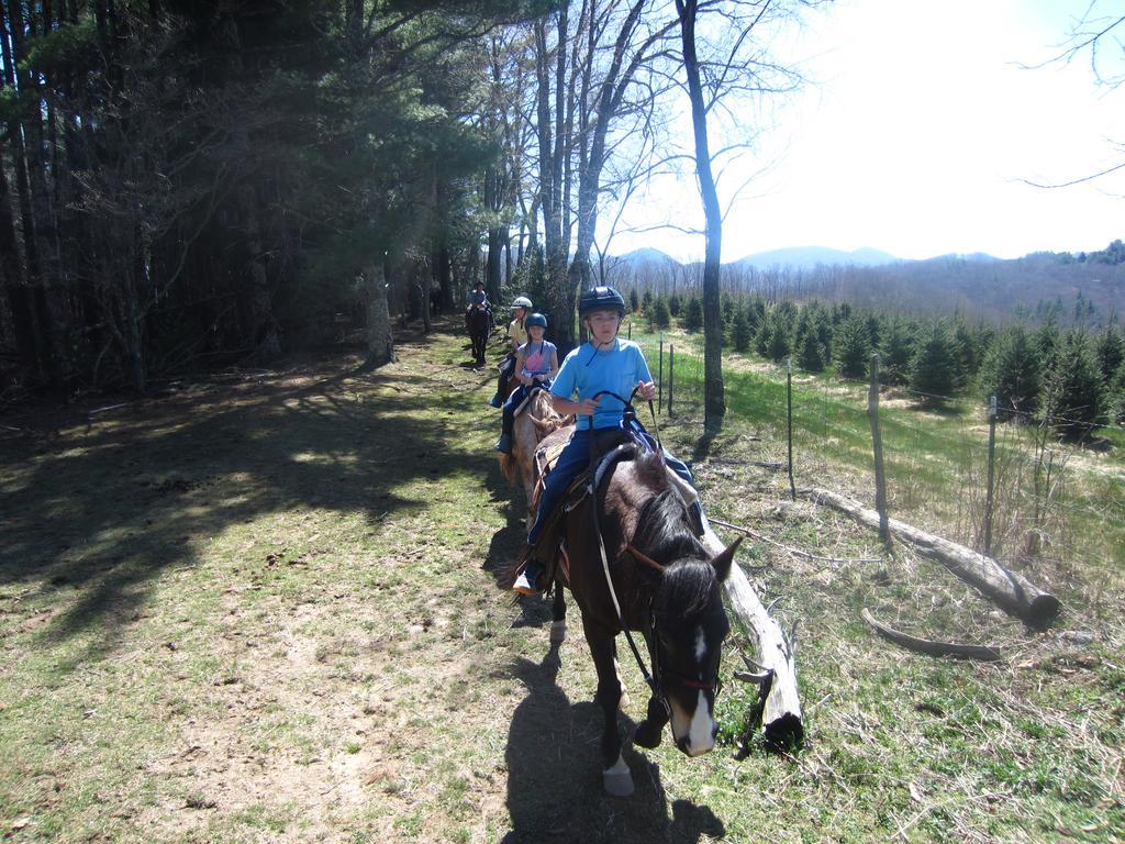 Arrowmont Stables & Cabins Cullowhee Buitenkant foto