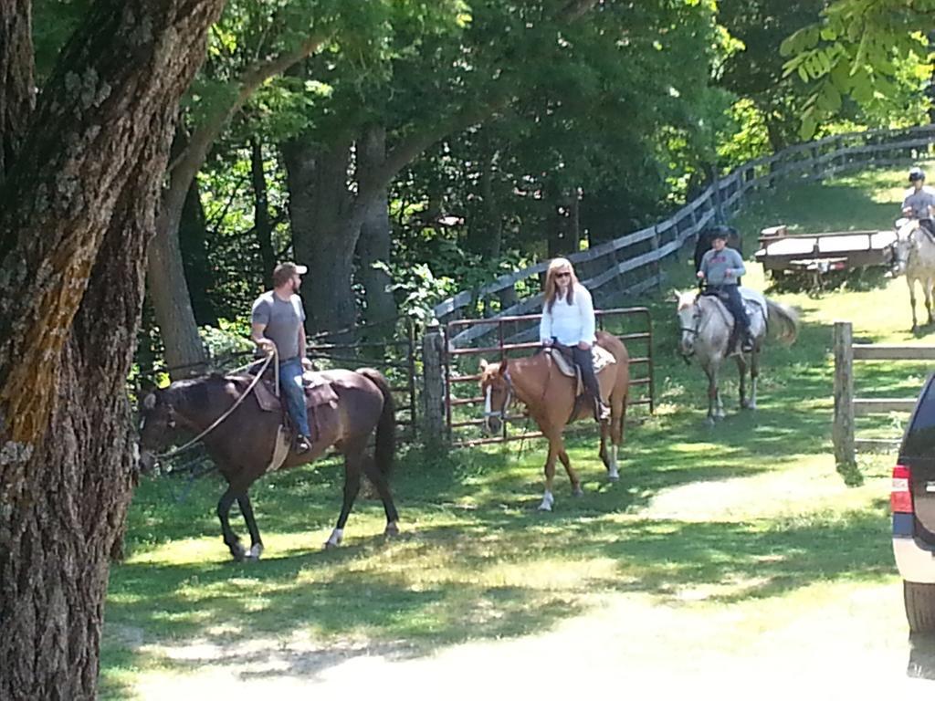 Arrowmont Stables & Cabins Cullowhee Buitenkant foto