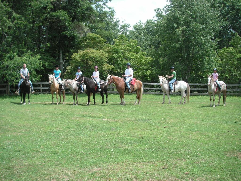 Arrowmont Stables & Cabins Cullowhee Buitenkant foto